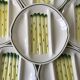 Set of 6 asparagus plates in salins slurry model Auxonne old