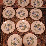 11 piert import plates
