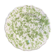 Plate green dots 20 cm