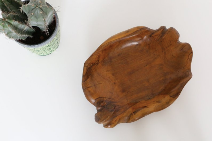 Glove fig tree wooden