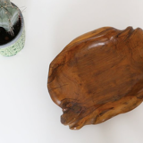 Glove fig tree wooden