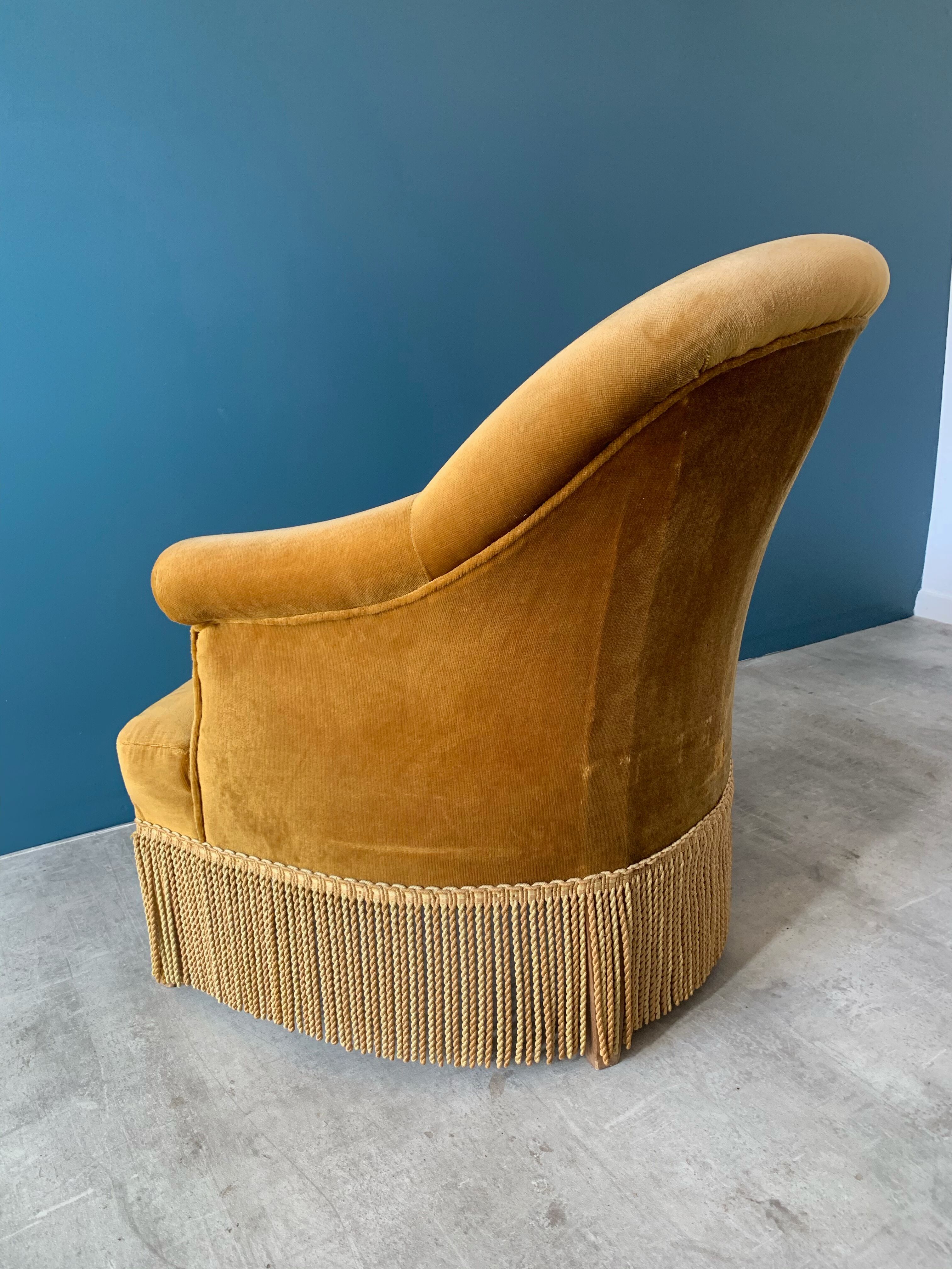 Old velvet toad old gold