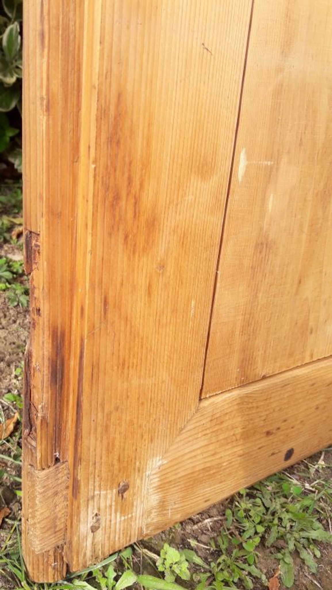 Paire de portes 248x129cm anciennes