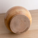 Pitcher Marsh Sandstone
