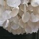 Ceiling light - Suspension -