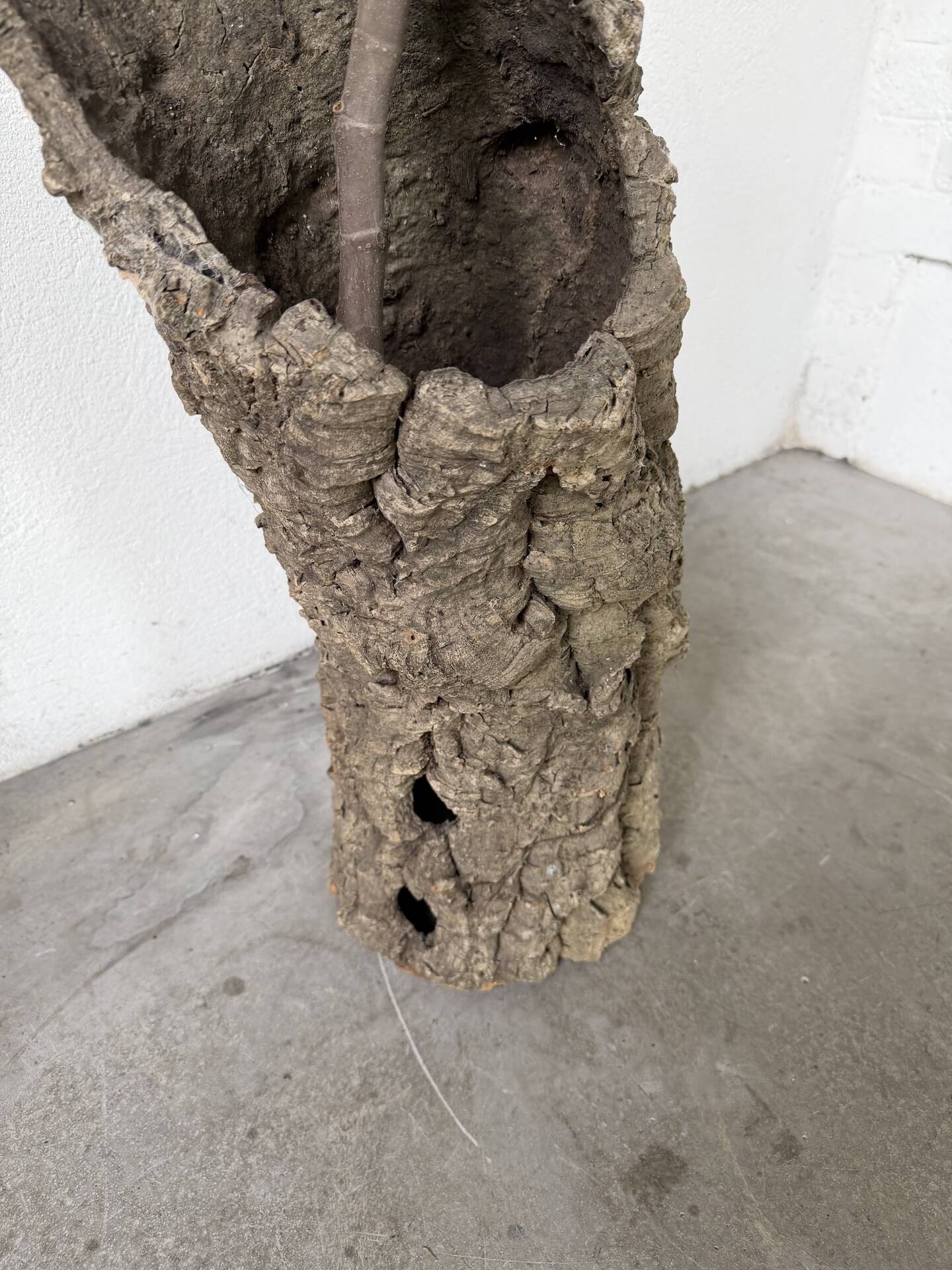 XL cork bark vase