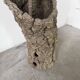 XL cork bark vase