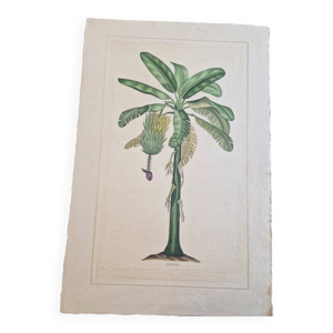 Dessin à l'aquarelle - soie
