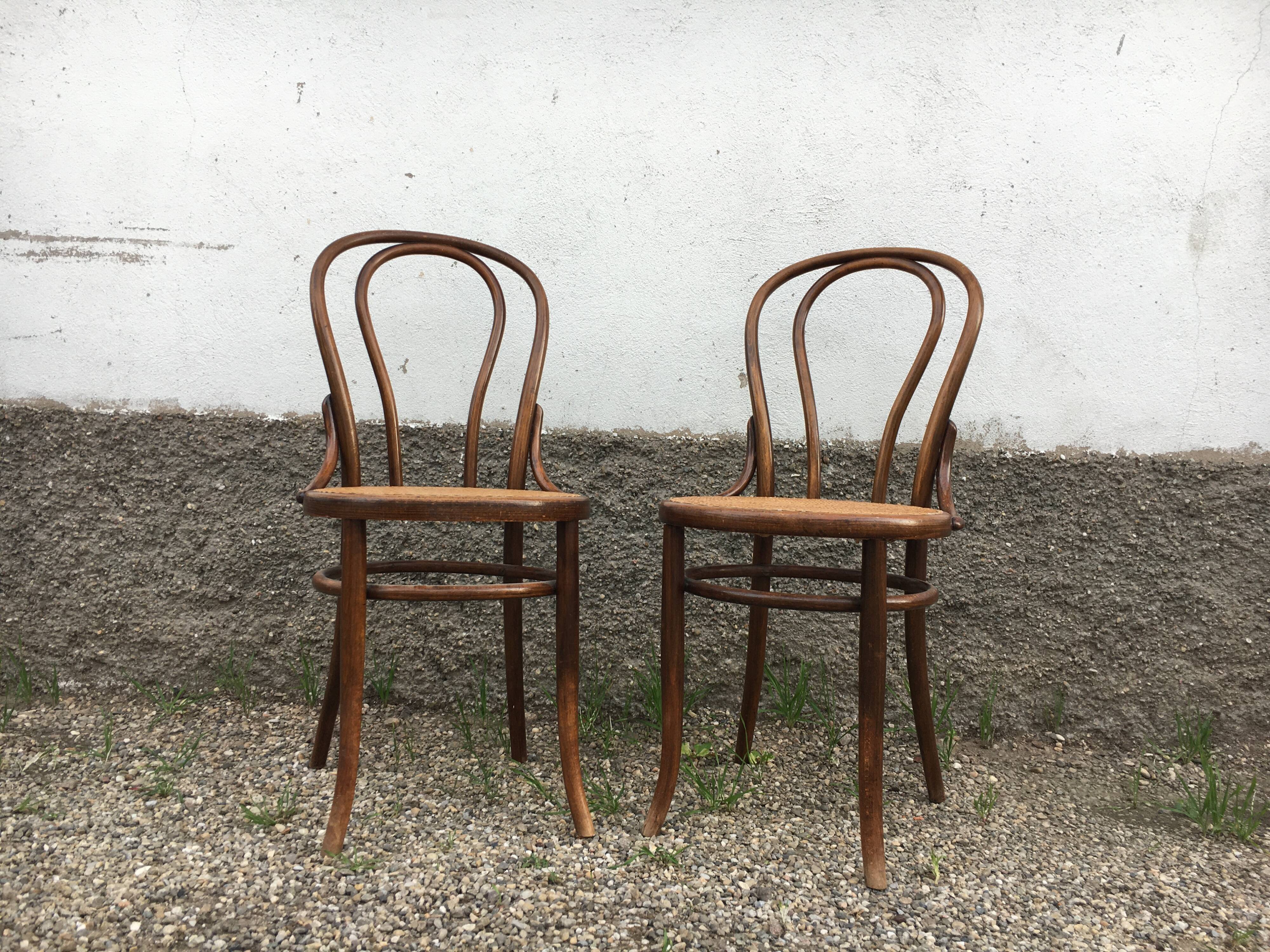 Pair of fischel chairs made in Austria curved wood