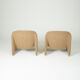 Pair of Alky armchairs by Giancarlo Piretti for Artifort 1970s