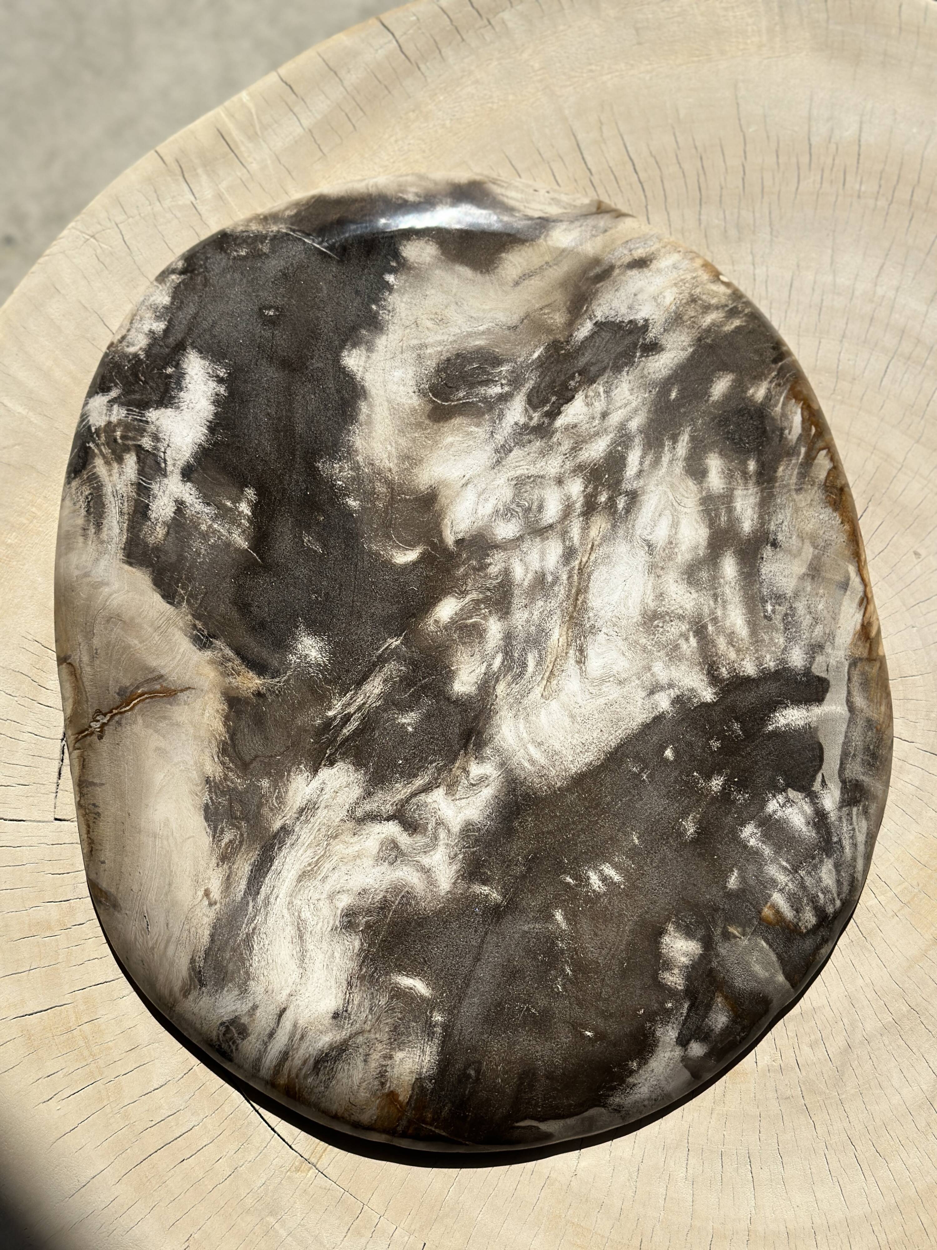 Very large pocket or dish in petrified wood
