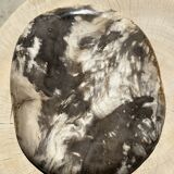 Very large pocket or dish in petrified wood