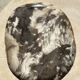 Very large pocket or dish in petrified wood