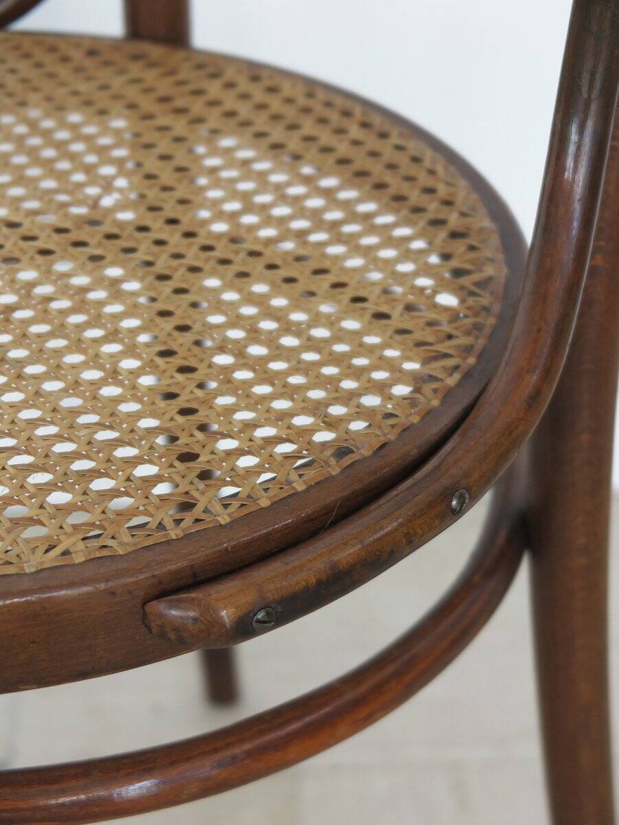 Vintage Chairs by Michael Thonet for Thonet, 1930s, Set of 6