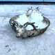 Stag Head Ice Dish Silver Plated Deer Barware