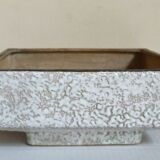 Pot à cactus ou bonsaïs en céramique vetter west-germany années 50