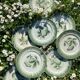 11 old dessert plates from the Pexonne earthenware factory, green and cream fruit decoration