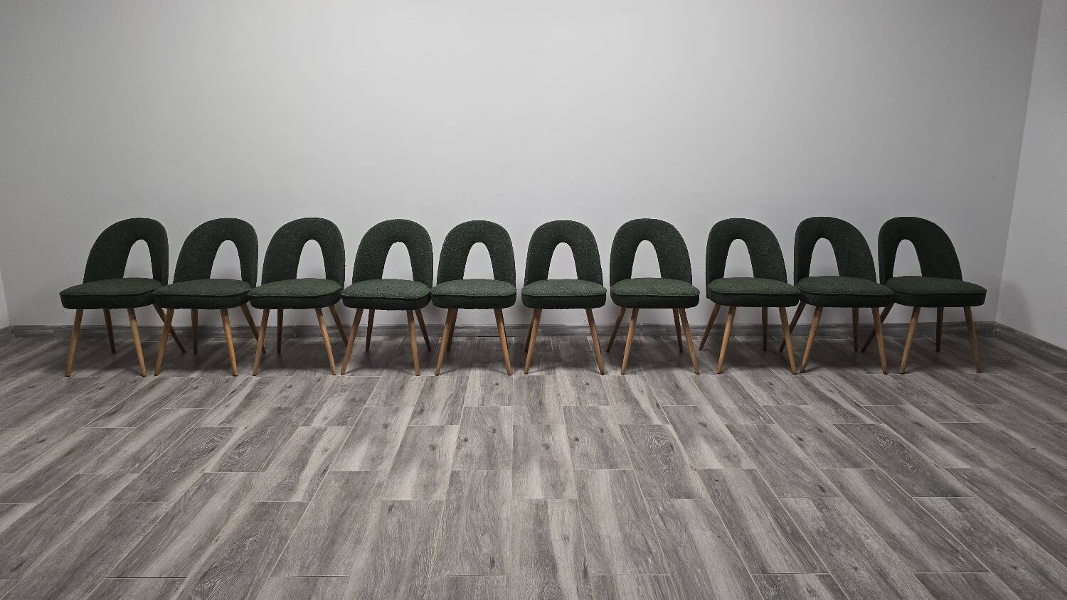 Dining Chairs by Antonin Suman, 1960s, Set of 10