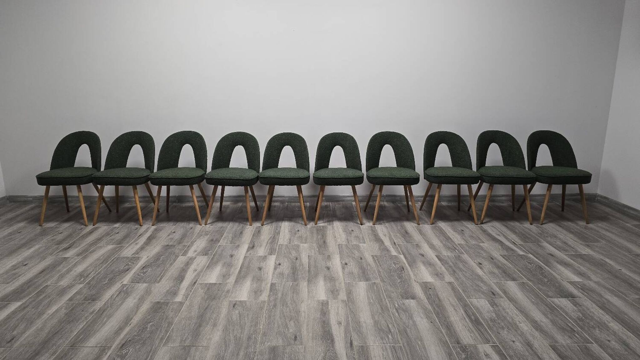 Dining Chairs by Antonin Suman, 1960s, Set of 10