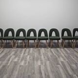 Dining Chairs by Antonin Suman, 1960s, Set of 10