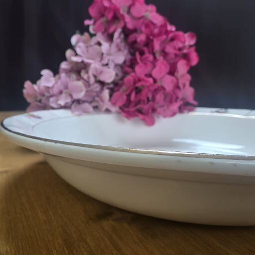 Set of 4 Digoin-Sarreguemines dishes