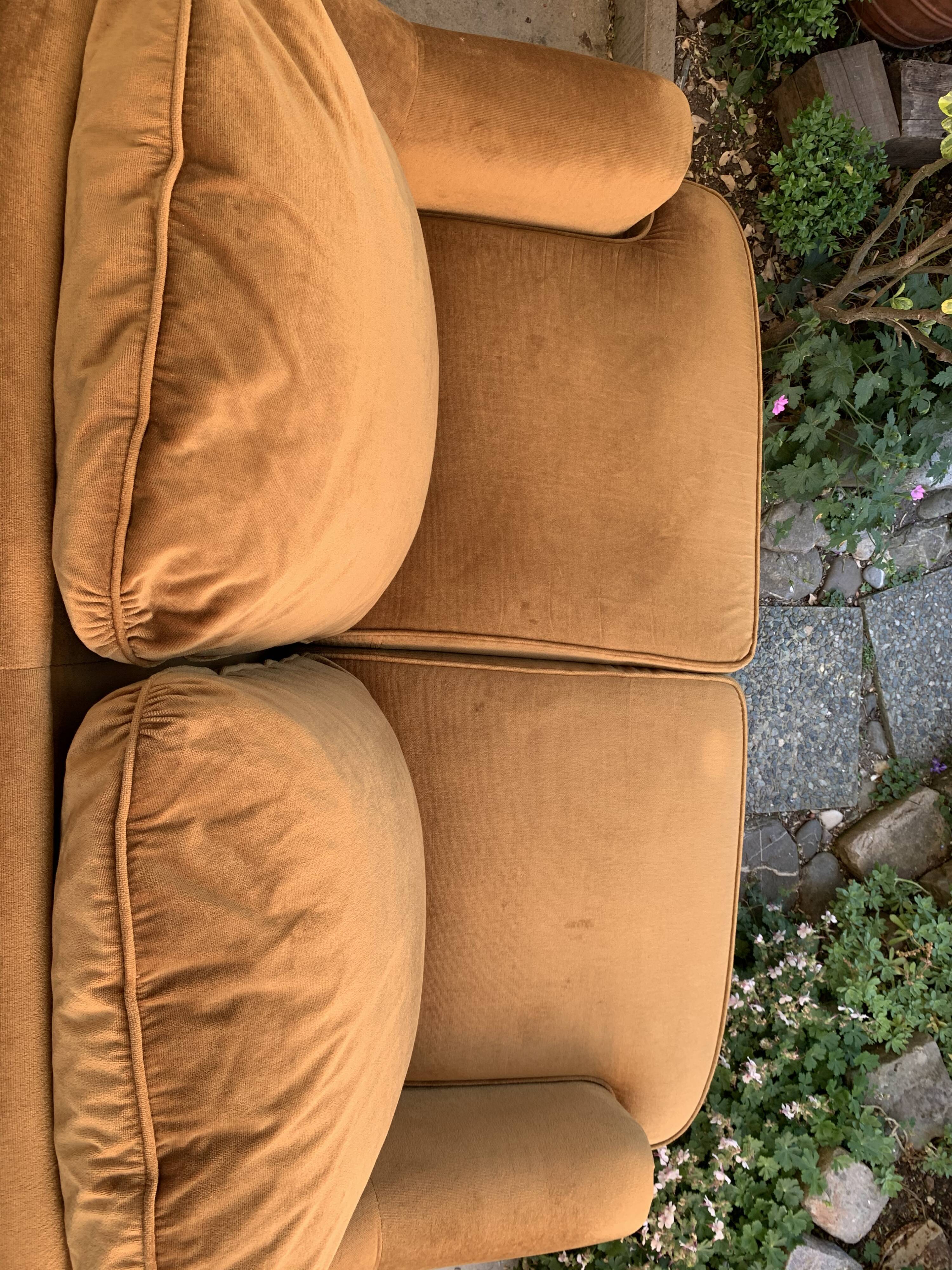 Golden velvet toad sofa