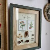 Vintage frame "The spices"