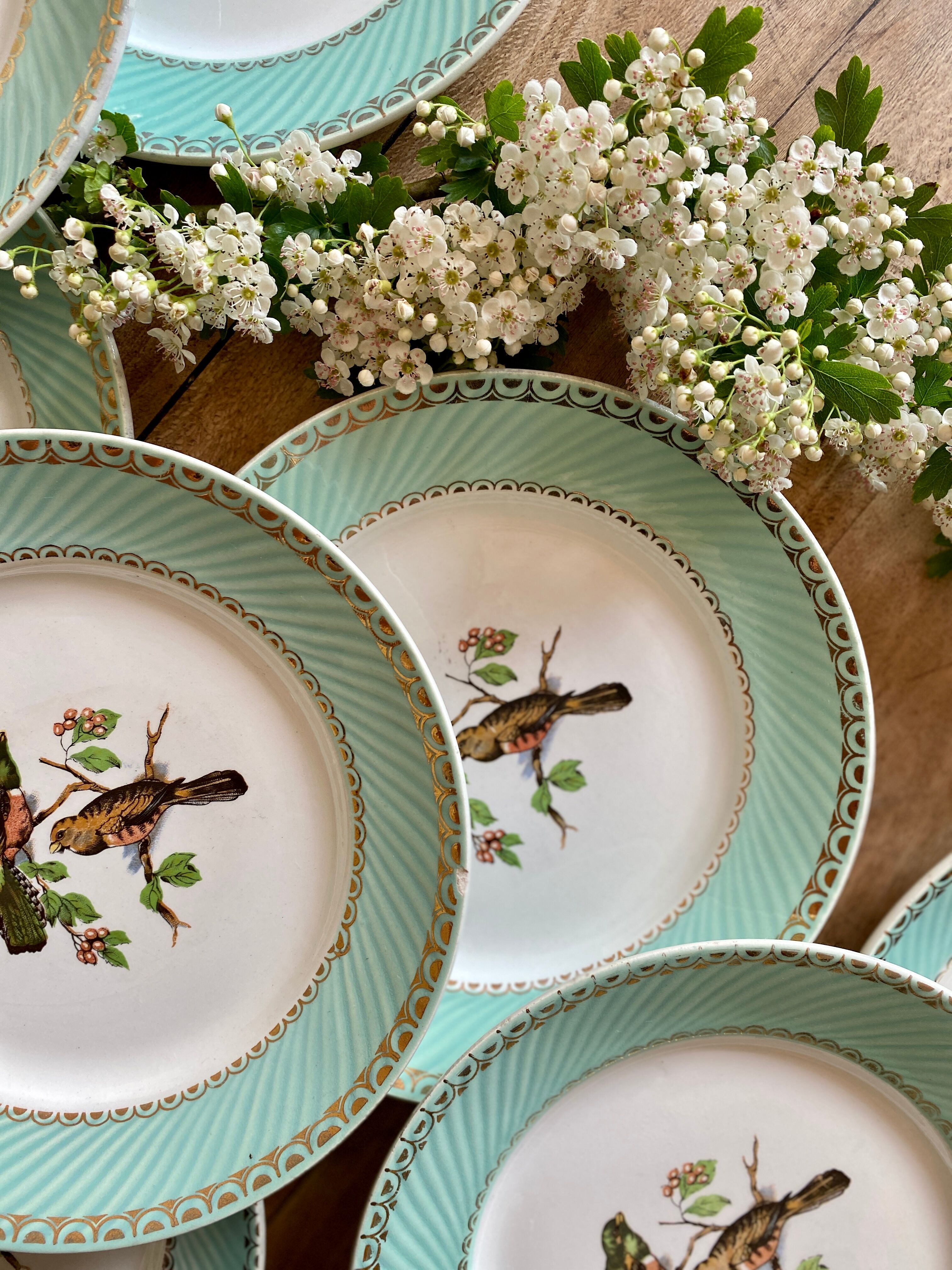 Set of 10 vintage flat plates with bird drawings