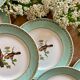 Set of 10 vintage flat plates with bird drawings