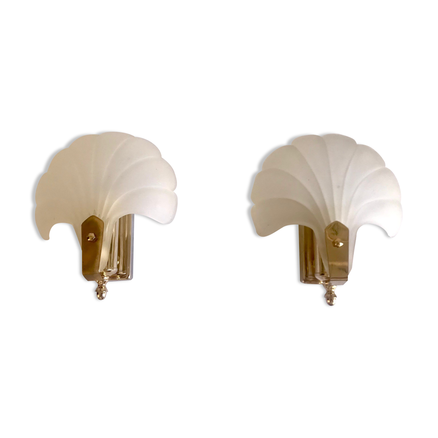 Pair of shell sconces