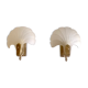 Pair of shell sconces