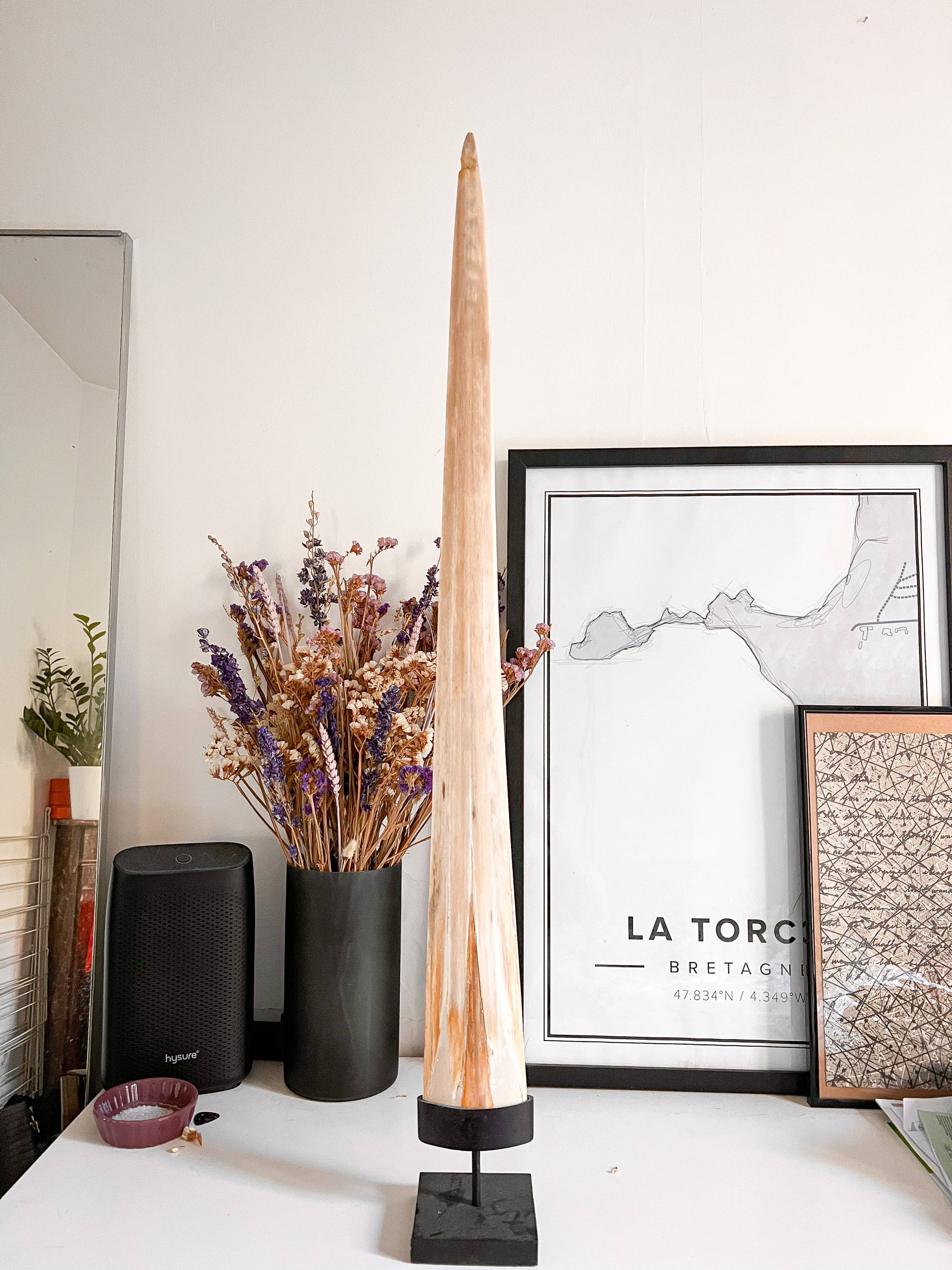 Swordfish tusk on base