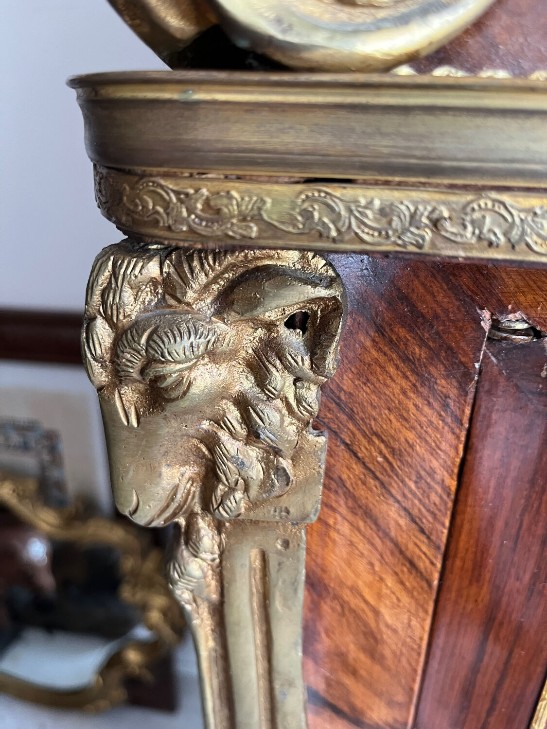 Ancient cabinet of curiosities