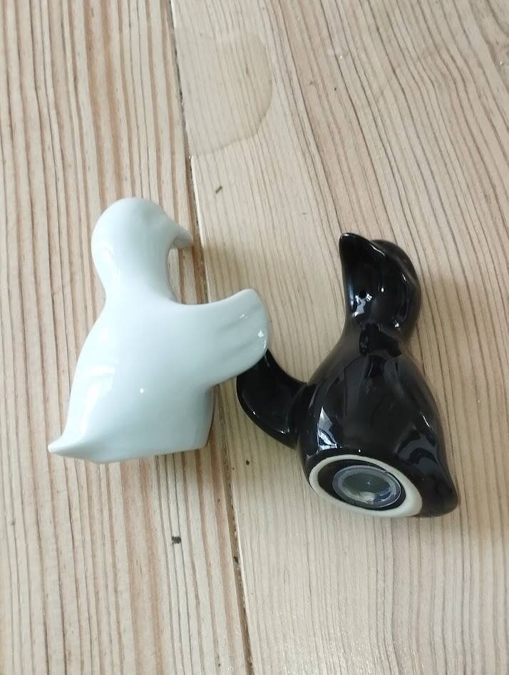 Duo de salières pingouins noir et blanc