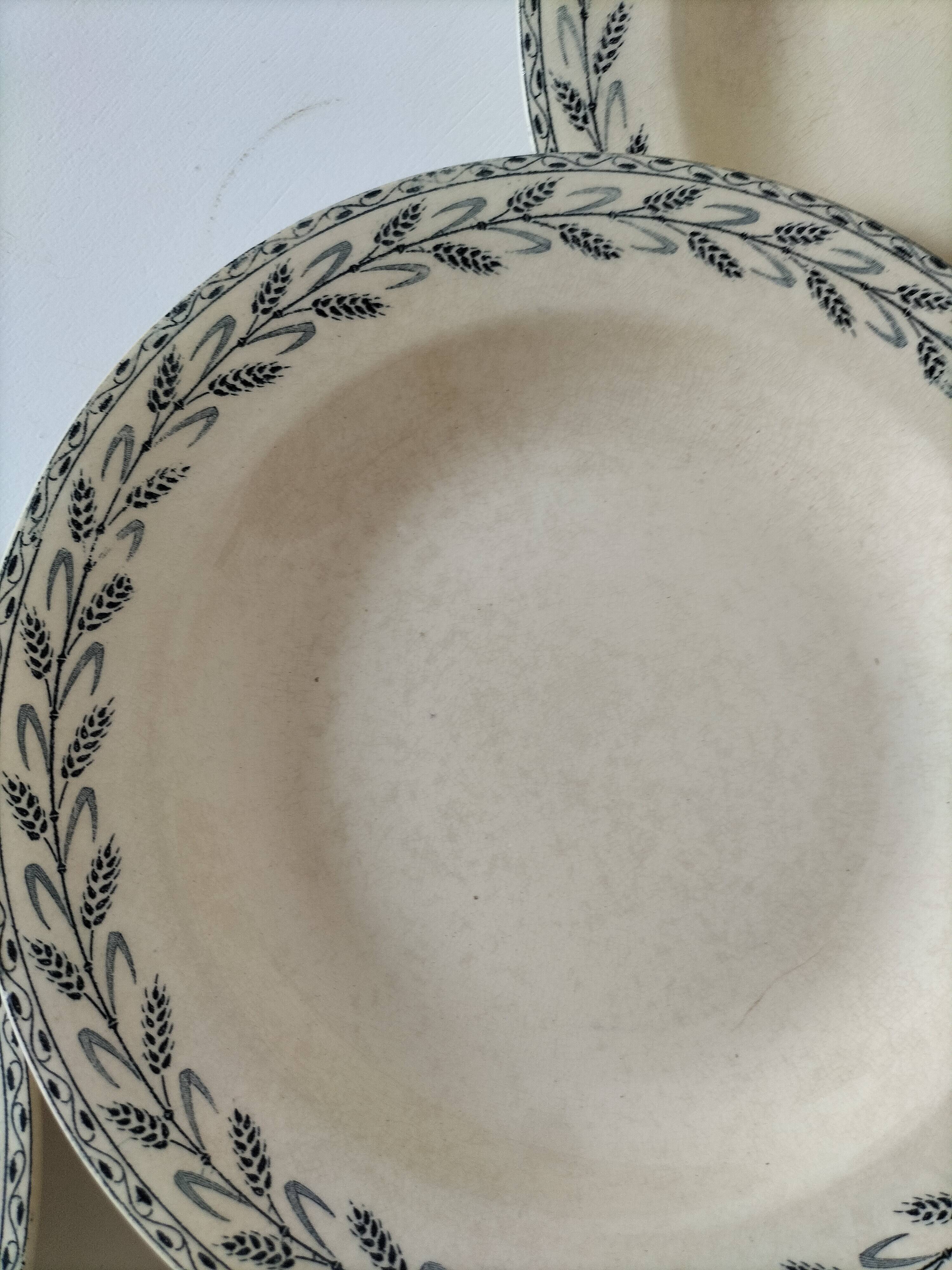 6 old E.C. Salins “Les Épis” ironstone soup plates
