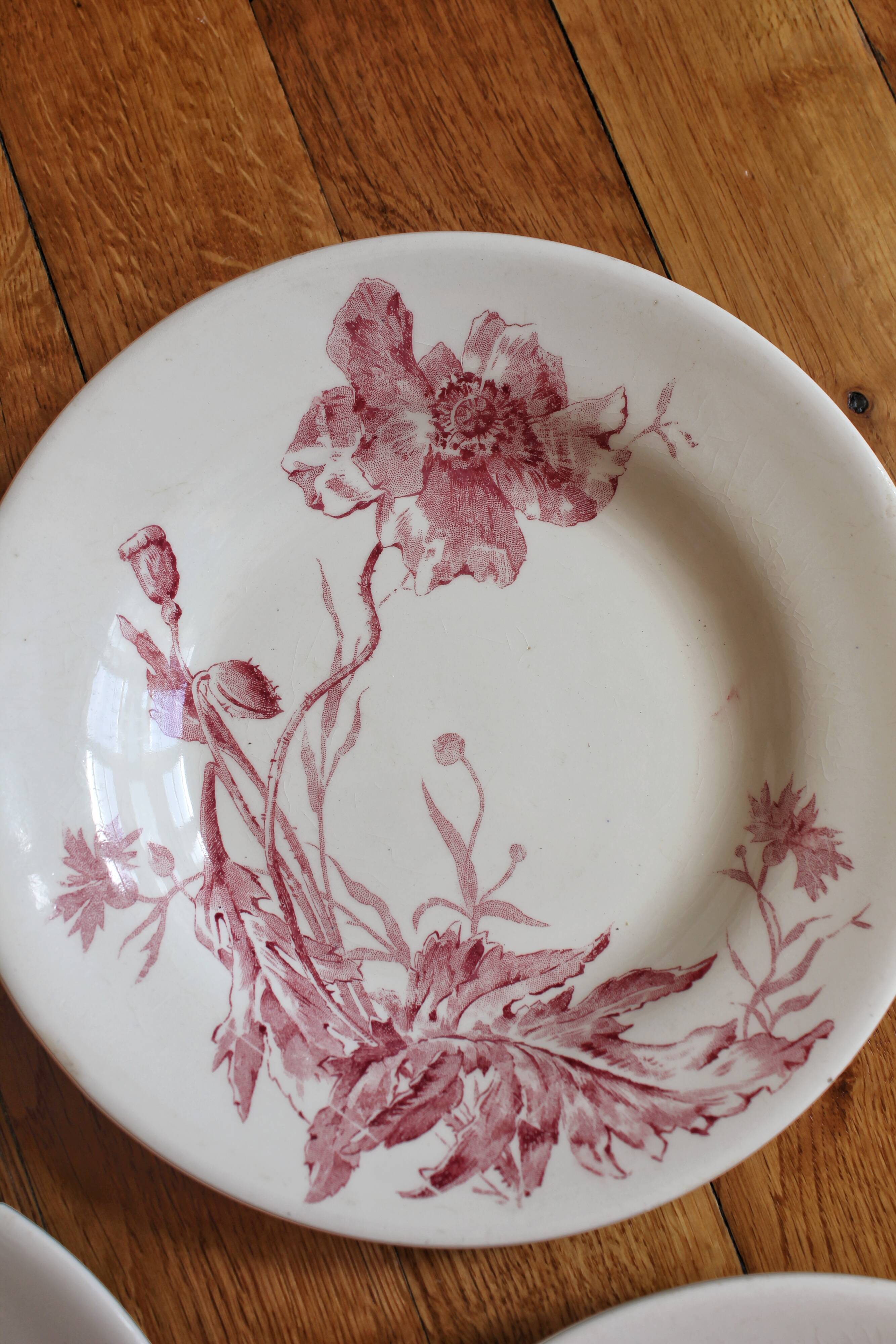 4 plates in iron earth opaque poppies, from Gien