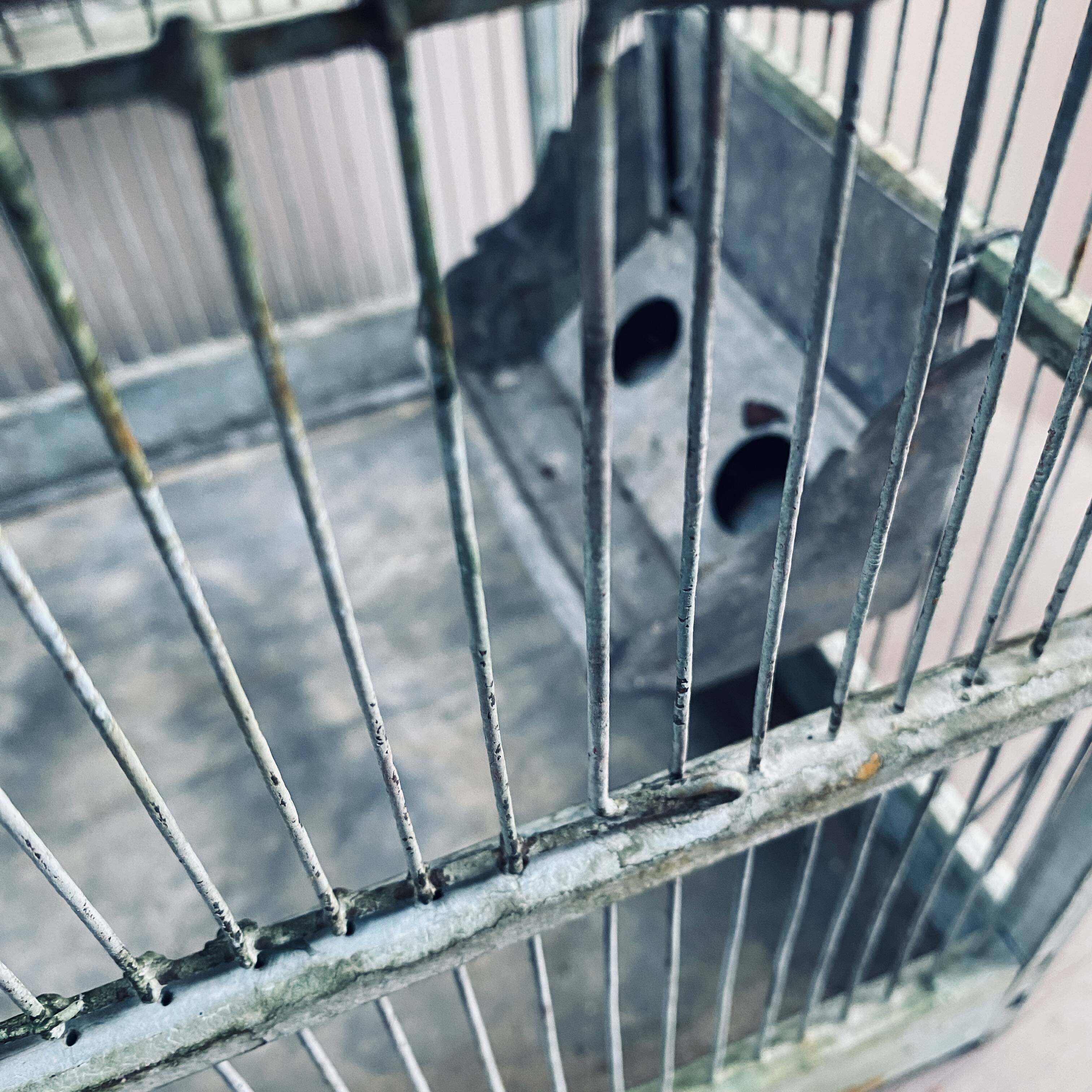 Water green patinated metal cage