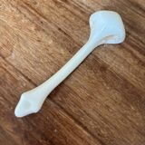 Moutardier Vieillard