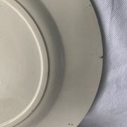 Lot of 12 old flat plates and 2 dishes, Terre de fer Henri II Salins