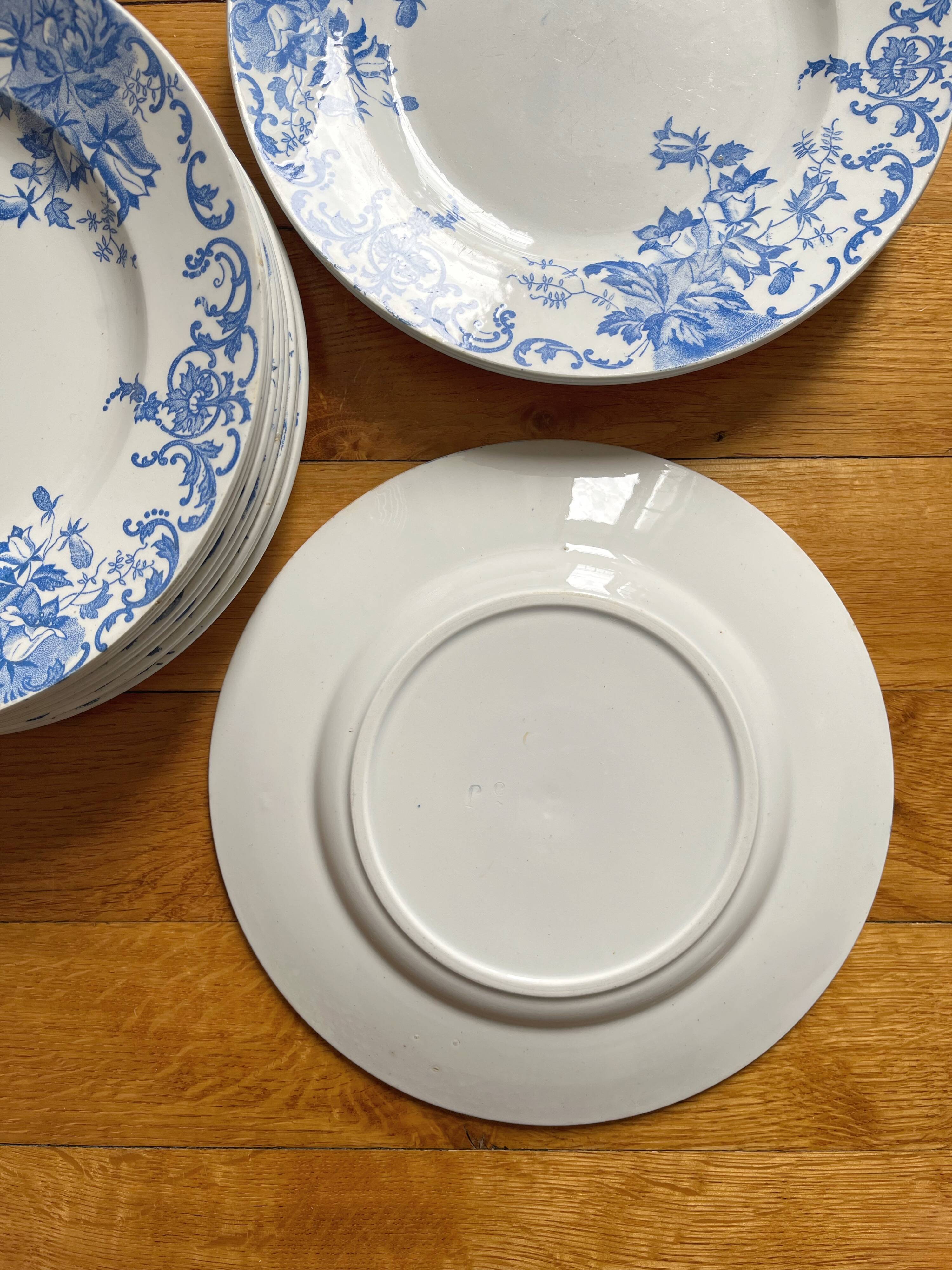 12 small flat plates "Campanule" Saint Amand and Hamage