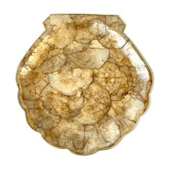 Empty mother-of-pearl shell pocket