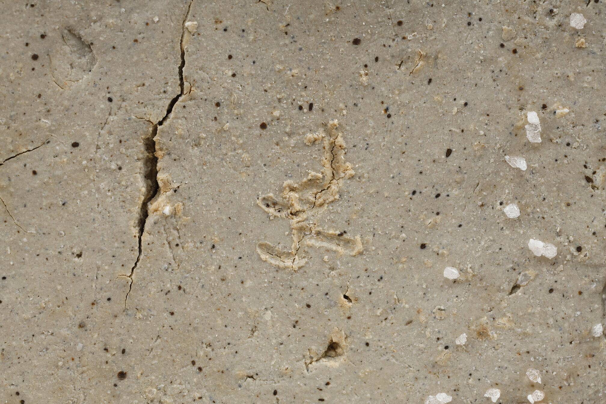 Soliflore Bizen pottery sculpture from Mori Taiga, Japan