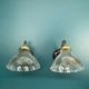 Pair brass wall lamps and holophane glass tulips porcelain rosette