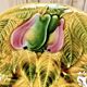 Old Sarreguemines barbotine fruit bowl salad bowl circa 1920