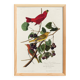 Poster about the Scarlet Tanager, based on an old engraving from 1827.