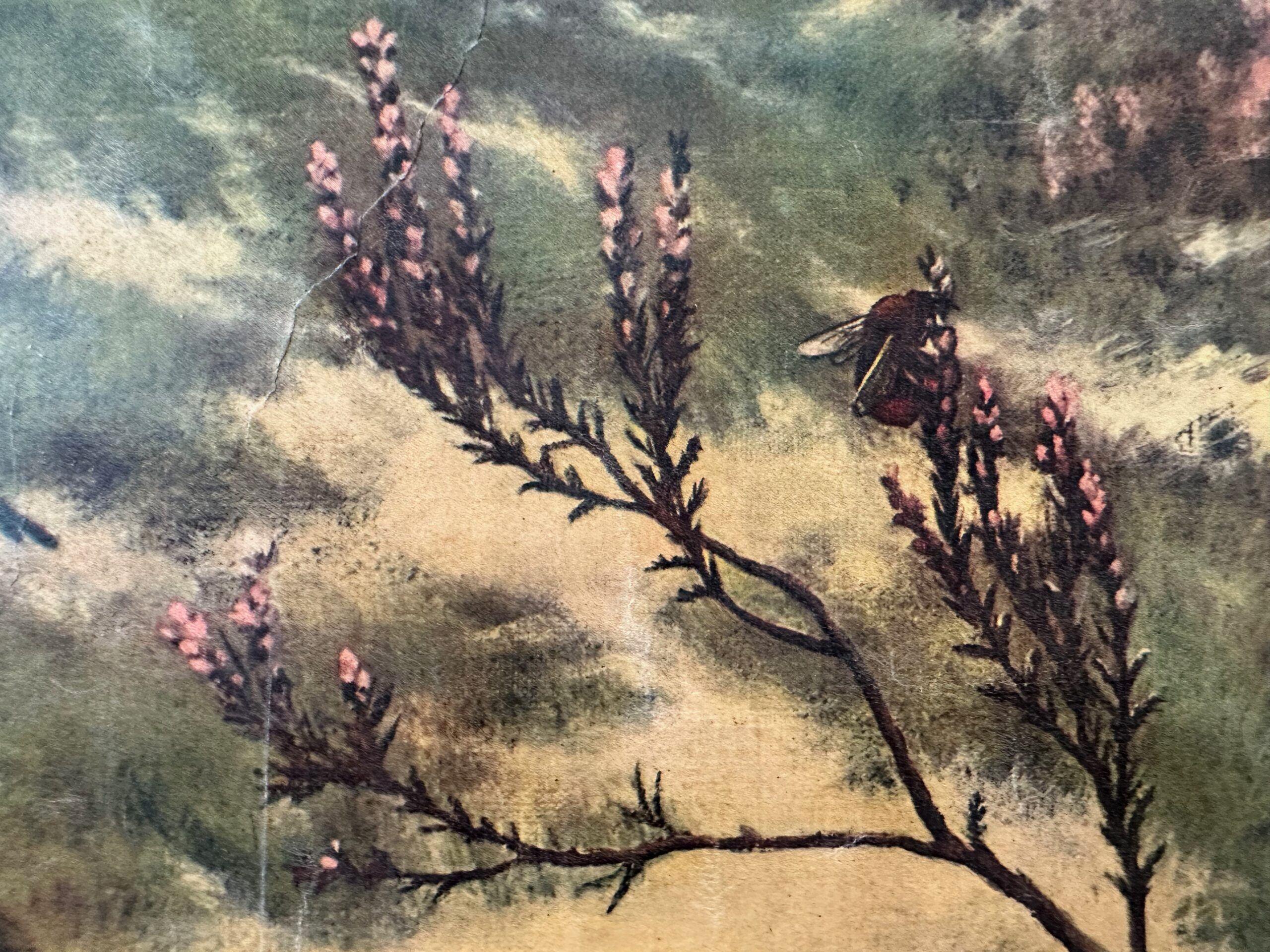 Vintage linen school chart – On the heath