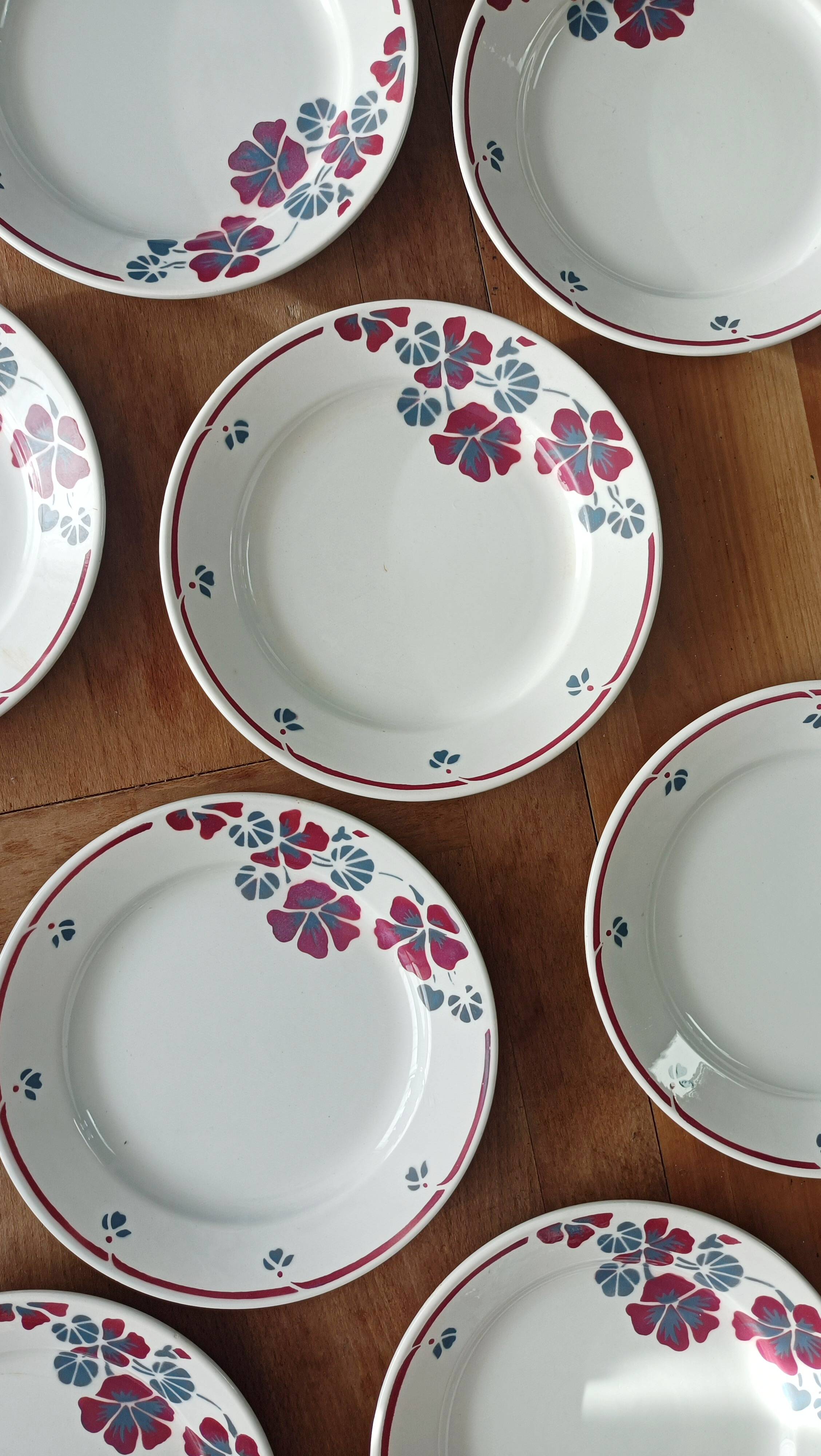 Set of 12 earthenware plates Salins, Nelly red