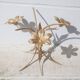 Vintage coffee table, brass and smoked glass table, Hans Kogl style flower table, lotus flower table