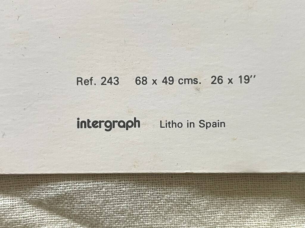 Art Print: 'Nude with Flowers' by Martí Carbó ~ Vintage 70s