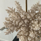 Hollywood Regency coral lamp from the 70s